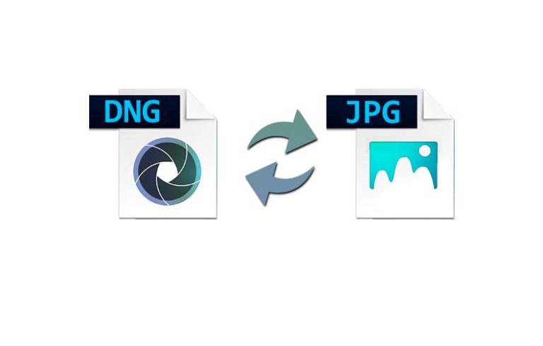5 Sites to Convert DNG Files to JPG Online